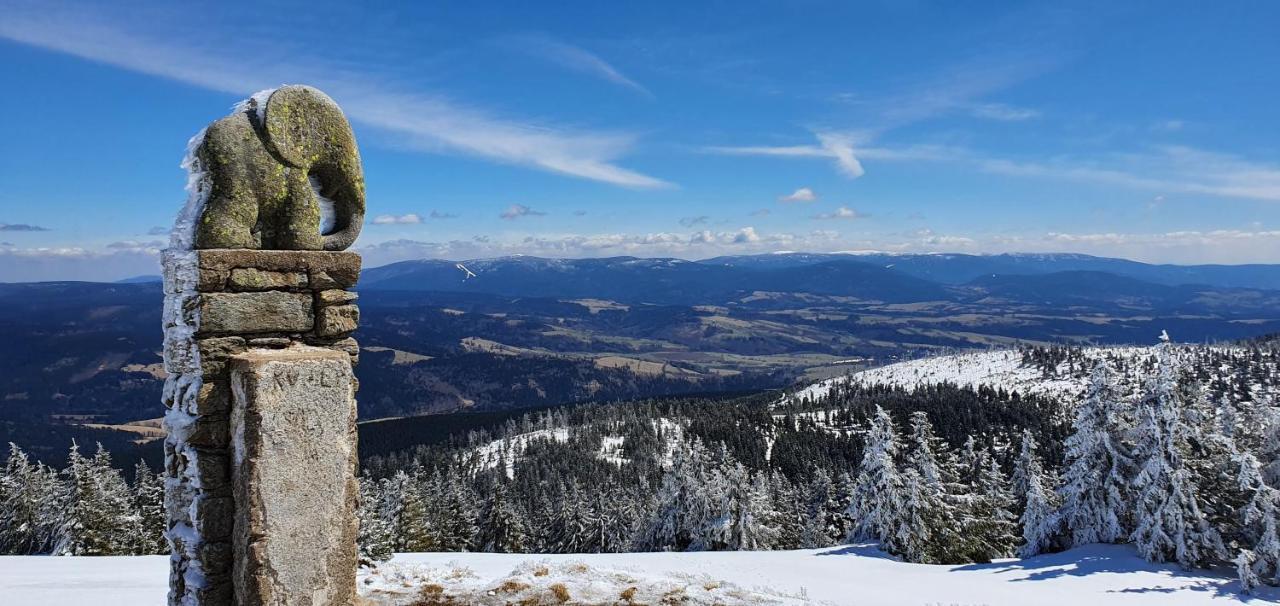 Apartman U Nas Na Dolni Morave Dolní Morava Exteriör bild